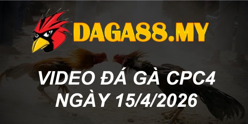 VIDEO GÀ CPC4 NGÀY 15/4/2026